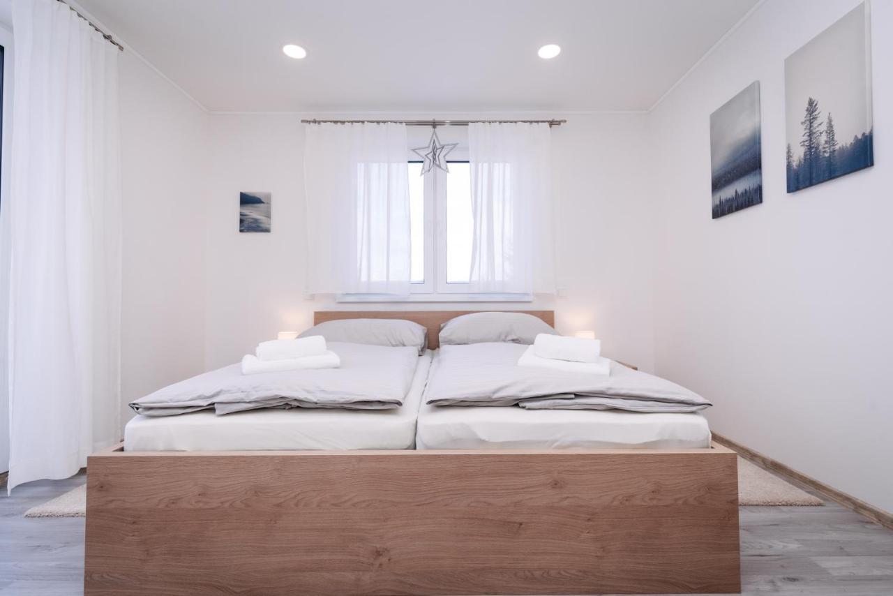 Apartment Hugo Klinovec Loučná pod Klínovcem エクステリア 写真