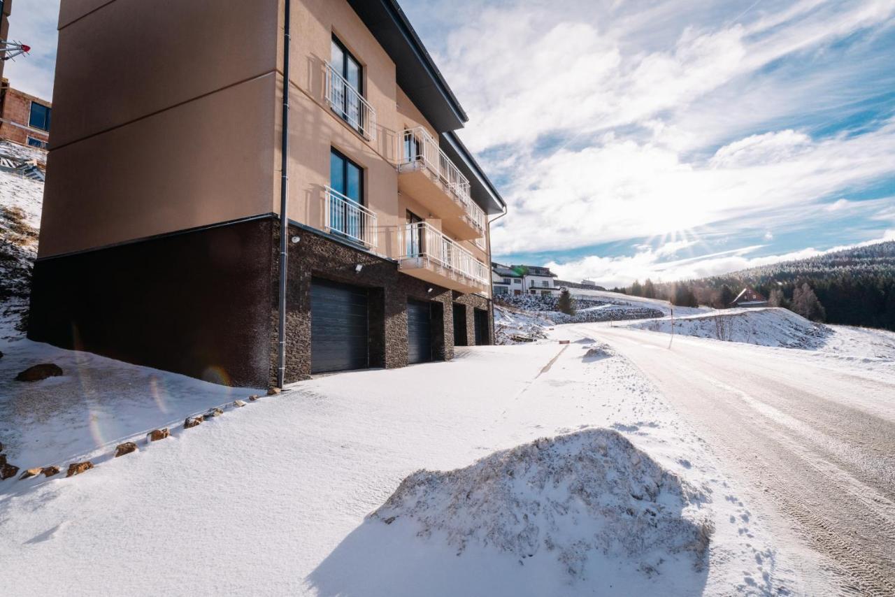 Apartment Hugo Klinovec Loučná pod Klínovcem エクステリア 写真